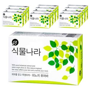 식물나라 히노끼 퓨어바 목욕비누, 100g, 12개