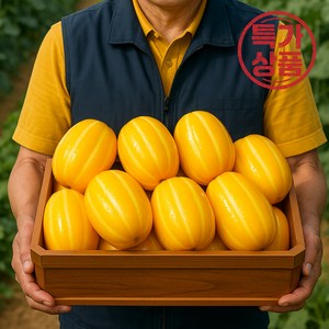 [재구매율1위] 성주 게르마늄 참외 19Bix 당도선별, 1박스, 5kg(로얄과)