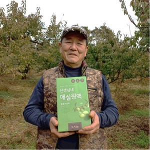 한약재로 키운 매실원액, 4개, 1L