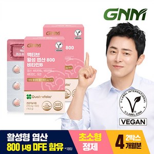 [Quatefolic/총 4개월분] GNM 활성 엽산 800 비타민B 2박스 / 비타민C, 60정, 2개