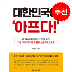 대한민국이 아프다 + 쁘띠수첩 증정, 생각하는갈대, 김문수