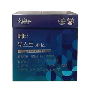 웰런스 메타부스트 ZENITH 30포, 1개, 450g