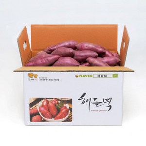 산지직송 해들녘 무농약 고창 세척 꿀 고구마 3kg 5kg 10kg (한입/중/특상/왕), 해들녘고구마 5kg (한입 사이즈), 1개