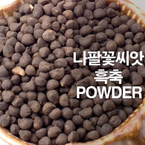 나팔꽃씨앗가루 흑축 분말, 300g, 1개, 1개입