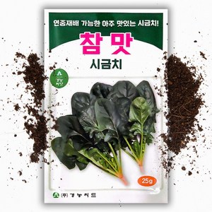 참맛 시금치 씨앗(25g) 사계절 종자, 1개