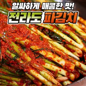 푸드지 파김치, 5kg, 1개