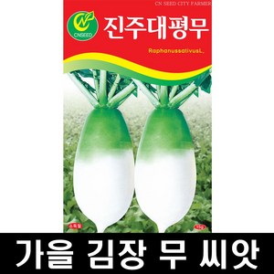 청농 진주대평무 15g 가을 김장 무 씨앗, 1개