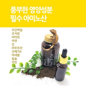 게코 밥 [피닉스웜] 파충류먹이, 1개