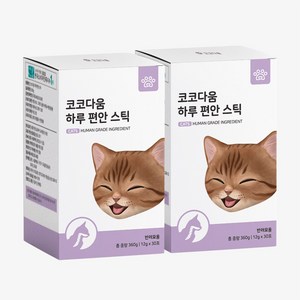 코코다움 하루 편안 스틱 고양이 영양제 30p, 호흡기/기관지, 2개