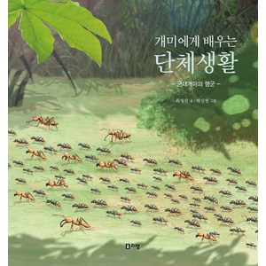 개미에게 배우는 단체생활:군대개미의 행군, 리잼, .