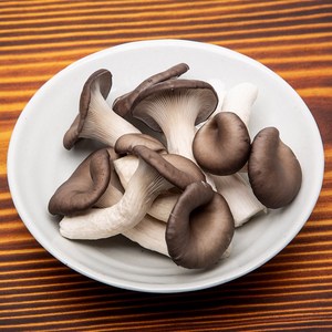 국내산 고기맛나는 오리지널 큰느타리버섯 BIG mushroom, 1개, 500g