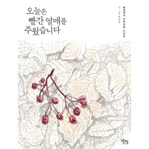 오늘은 빨간 열매를 주웠습니다:황경택의 자연관찰 드로잉, 가지, 황경택 글그림