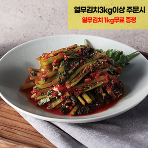 찬우물김치 열무김치, 3kg, 1개