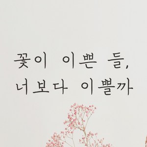 어썸투데이 감성 손글씨 레터링 스티커 꽃이 이쁜 들 너보다 이쁠까, LH-048 꽃이 이쁜 들 너보다 이쁠까, 검정