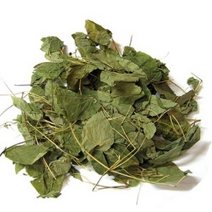 그린내추럴 국내 자연산 음양곽(삼지구엽초) 100g, 1개