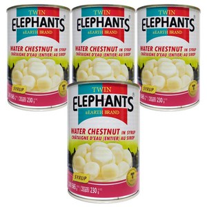 [태국] TWIN ELEPHANTS 워터체스넛 통조림 / WATER CHESTNUT 물밤 과일캔 해우 마름 열매, 565g, 4개