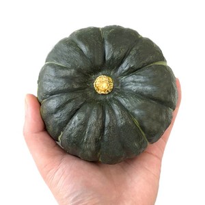 푸드지 달콤한 해남 미니밤호박, 1개, 4kg
