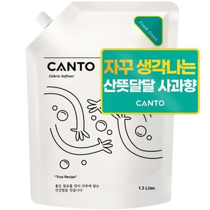 칸토 고농축 프리미엄 섬유유연제 파우치 새콤달콤 과일향 프레시그린, 1개, 1.3L