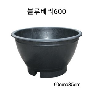 블루베리600 대형화분.플라스틱화분