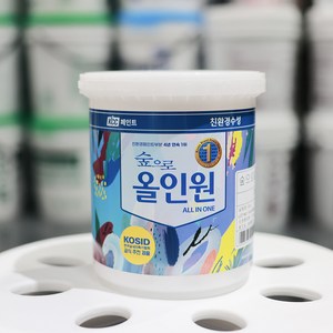 KCC 숲으로 올인원 무광 친환경 셀프페인트, 1개, 900ml, PINK02