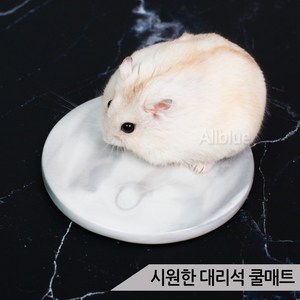 시원한 대리석 쿨매트 햄스터 고슴도치 여름용품, 1개