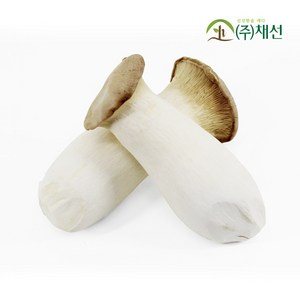 국내산 무농약 새송이버섯 1kg, 1개