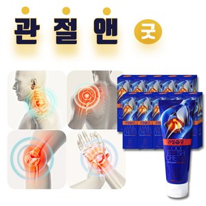 관절앤 굿 크림 관절 통증 마사지크림 근육 바르는 겔타입 약국용 120mg, 1개입, 10개