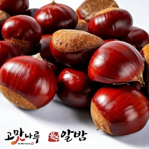 2024년 공주햇밤 산지농협 알밤 세척밤, 1박스, 공주알밤 2Kg  [특대]