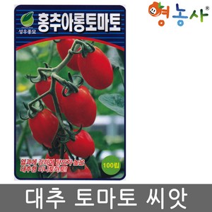 홍추아롱 토마토씨앗 100립 대추 방울 토마토씨 종자 키우기, 1개