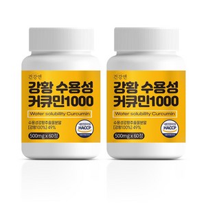 강황 수용성 커큐민 1000 식약청인증 HACCP 건강앤, 60정, 2개