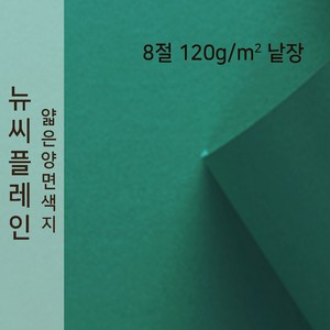 뉴씨플레인 종이문화 얇은 양면색지 120g 8절 낱장 1매 No.40 초록색, 1장