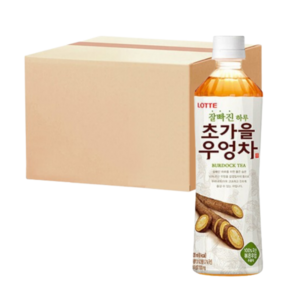 롯데칠성음료 잘빠진 하루 초가을 우엉차, 500ml, 24개