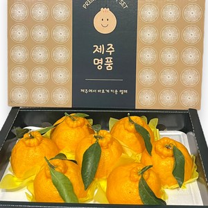 T 프리미엄 제주도 한라봉 선물용 새콤달콤 풍부한 맛, 1박스, T 선물용 한라봉 중대과3kg(7-13과), 선물용 (중대과 7-13과 )