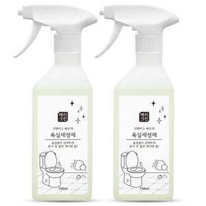 베리크린 욕실세정제 750ml 화장실 변기 욕실 청소왕 곰팡이제거, 2개