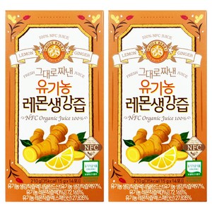 홀베리 레몬생강즙, 280g, 2개