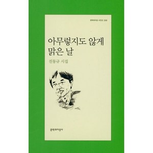 아무렇지도 않게 맑은 날, 문학과지성사, 진동규 저