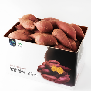 해뜨레 영암 꿀고구마, 1박스, 5kg 중