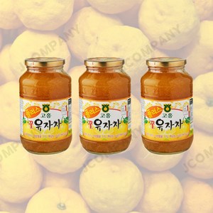 일키로 고흥 농협 꿀 유자차 청, 1kg, 3개, 1개입, 1kg