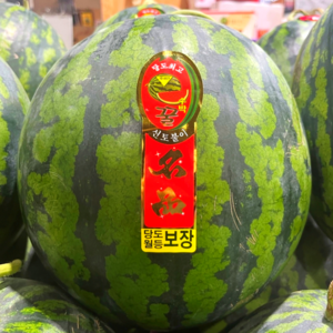 [12bix] 당도선별 특품 하우스 꿀 수박 선별품, 특품 꿀수박 8-9kg 내외, 1개
