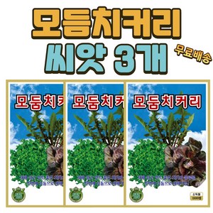 씨앗팜 모듬치커리 씨앗 3개(1500립x3) 쌈채소 치커리 씨앗, 3개