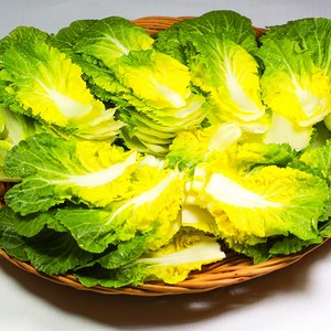 [산지직송] 해풍맞은 진도 해풍 봄동 1kg, 1박스