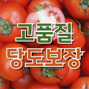 [고품질 당도보장] 달콤한 완숙토마토, 1박스, 2kg (혼합)