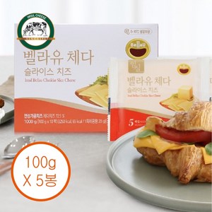 임실치즈농협 체다 슬라이스치즈 5팩(20gX25매), 100g, 5개