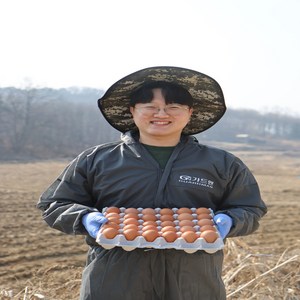 난각번호 1번 계란 무항생제 자연방사 유정란 달걀 20구 30구 40구 60구 계란, 난각번호 1번 60구, 1개