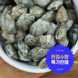 특가할인 한정판매] 통영 살아있는 참바지락 산지직송 제철 바지락 당일발송, 1박스, 1kg