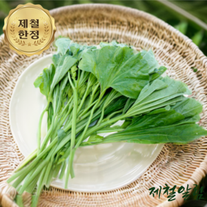 제철알림 국내산 생 아욱 400g 1kg, 1개