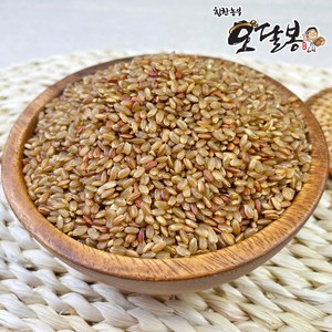 힘찬농부 갈색 가바현미 금탑 가바쌀, 1개, 2kg