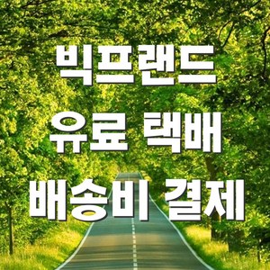 빅프랜드 무료 우체국 일반우편 상품 구매자를 위한 유료 택배 배송비 결제 택배비 운송비 택배비용 운송비용 배달비용, 1개