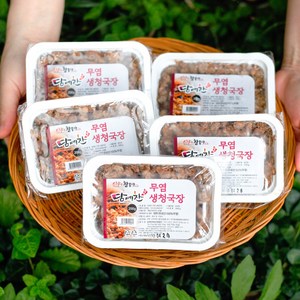 청국장 찌개 냄새안나는 생 순창 담예찬, 200g, 5개