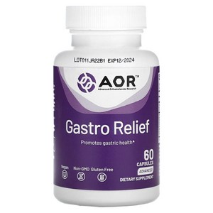 AOR 매스틱검 알긴산 아연 카르노신 생강 Gasto Relief 60 캡슐 약들약 고약사 / 해외직구 미국정품, 성인남녀공용, 1개, 60회분